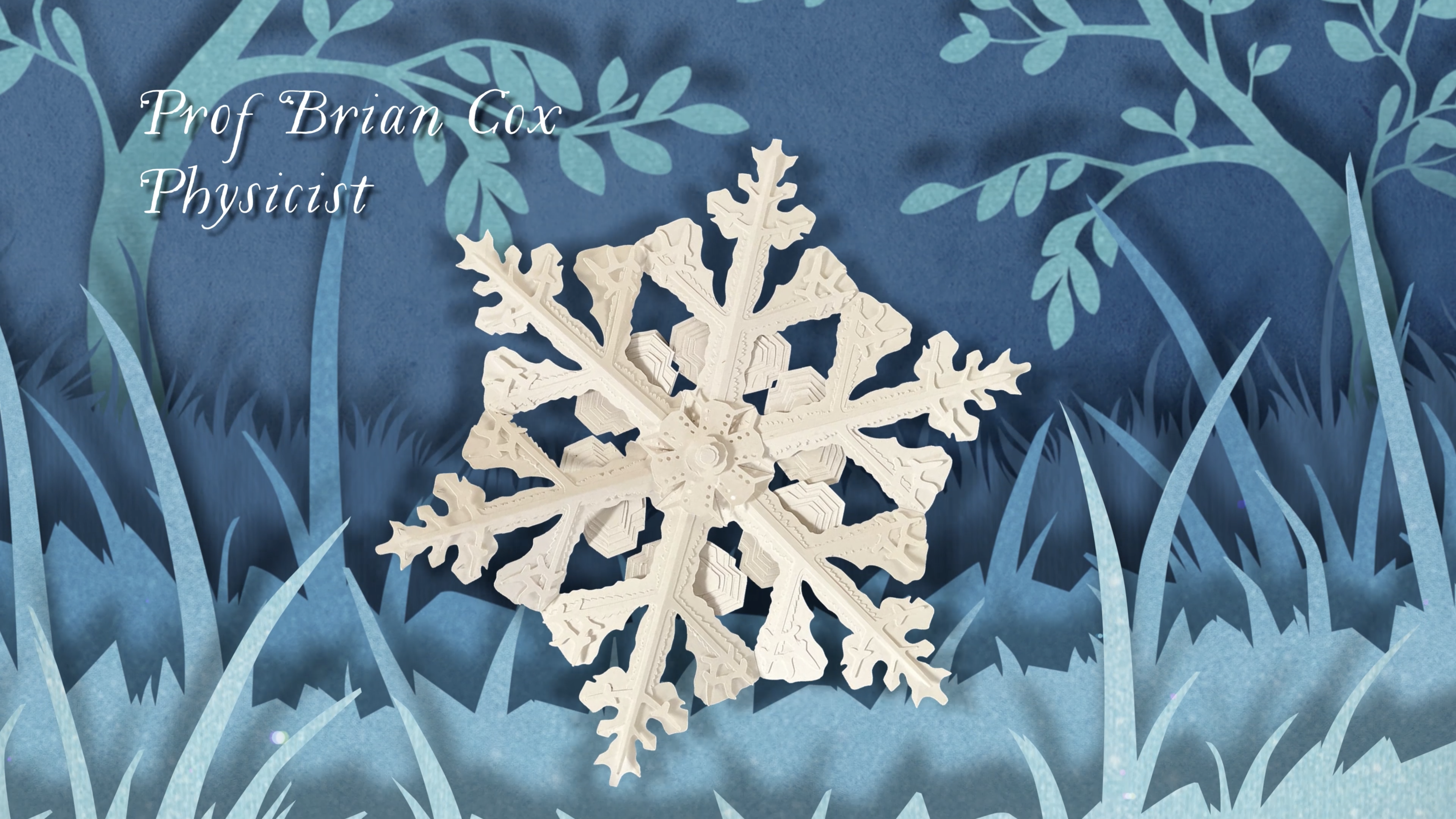 The Science of Snowflakes